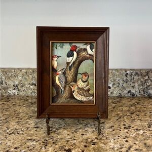 Framed Print Birds of North America Woodpeckers
